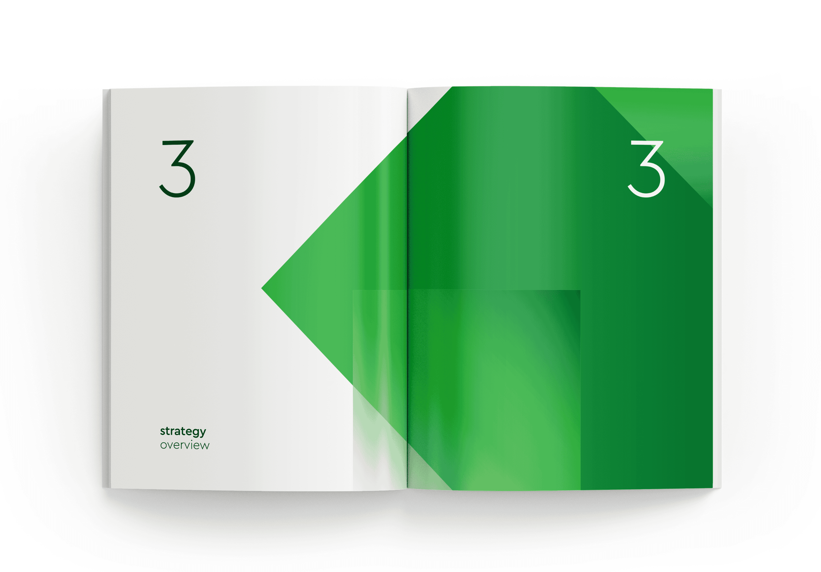 Annual Report for PASHA Holding 6.png